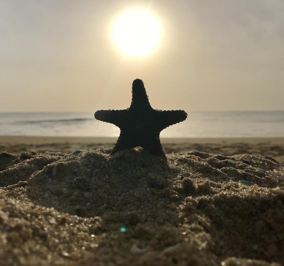 Starfish Beach Bungalows Arugam Bay Exterior foto